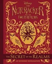 Cover image of The secret of the realms