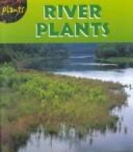 Cover image of River plants
