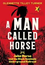 Cover image of A man called Horse