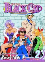 Cover image of Black Cat