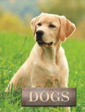 Cover image of Dogs