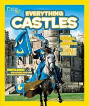 Cover image of Everything castles
