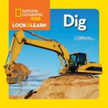 Cover image of Dig