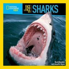 Cover image of Face to face with sharks