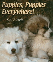 Cover image of Puppies, puppies everywhere!