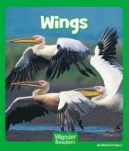 Cover image of Wings