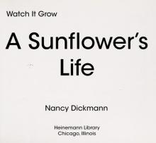 Cover image of A sunflower's life
