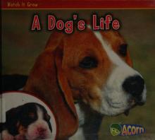 Cover image of A dog's life