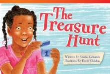 Cover image of The treasure hunt