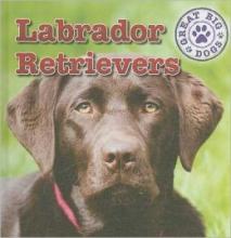 Cover image of Labrador retrievers