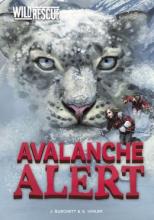 Cover image of Avalanche alert