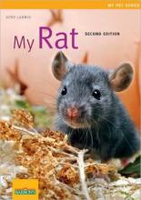 Cover image of My rat