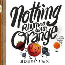 Cover image of Nothing rhymes with orange