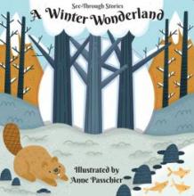 Cover image of A winter wonderland