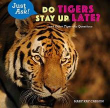 Cover image of Do tigers stay up late?