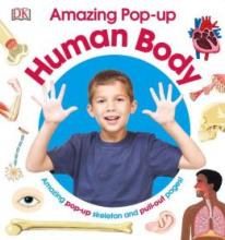 Cover image of Amazing pop-up human body