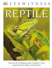 Cover image of Reptile