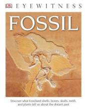 Cover image of Fossil