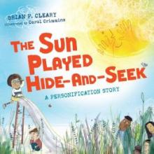 Cover image of The sun played hide-and-seek