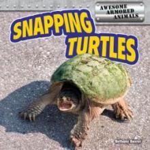 Cover image of Snapping turtles