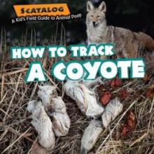 Cover image of How to track a coyote