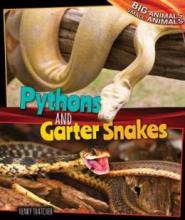 Cover image of Pythons and garter snakes