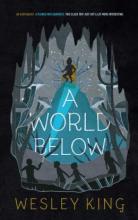 Cover image of A world below