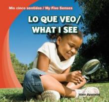 Cover image of Lo que veo =