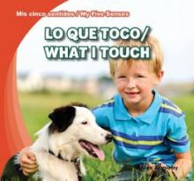 Cover image of Lo que toco =