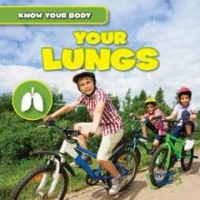 Cover image of Your lungs