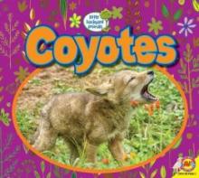 Cover image of Coyotes