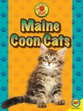 Cover image of Maine coon cats