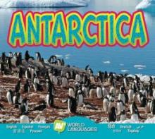 Cover image of Antarctica