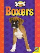 Cover image of Boxers