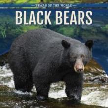 Cover image of Black bears