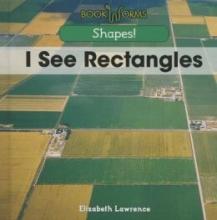 Cover image of I see rectangles