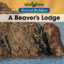 Cover image of A beaver's lodge