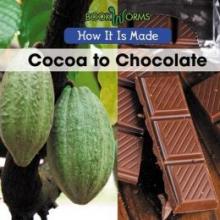 Cover image of Cocoa to chocolate