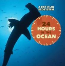 Cover image of 24 hours in the ocean