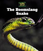 Cover image of The boomslang snake