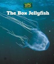 Cover image of The box jellyfish