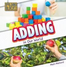 Cover image of Adding in our world