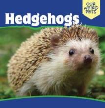 Cover image of Hedgehogs