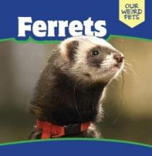 Cover image of Ferrets