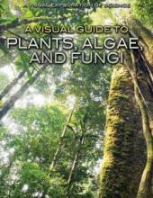 Cover image of A visual guide to plants, algae, and fungi