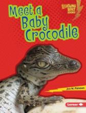 Cover image of Meet a baby crocodile