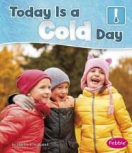 Cover image of Today is a cold day