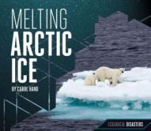 Cover image of Melting Arctic Ice