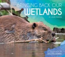 Cover image of Bringing back our wetlands