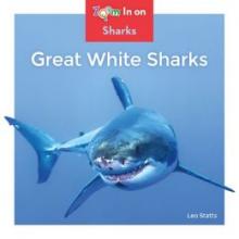 Cover image of Great white sharks